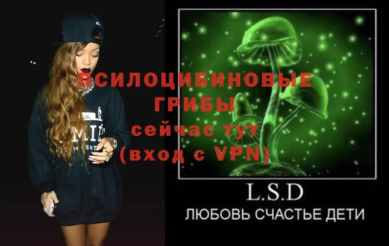 купить  цена  Воскресенск  Галлюциногенные грибы Psilocybe 